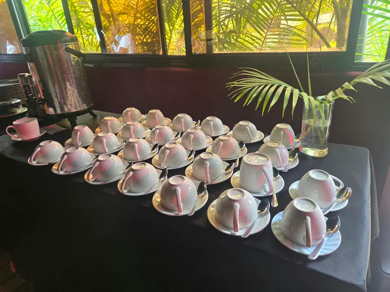 Rows of upturned white teacups on saucers laid out beside a window at Velvett