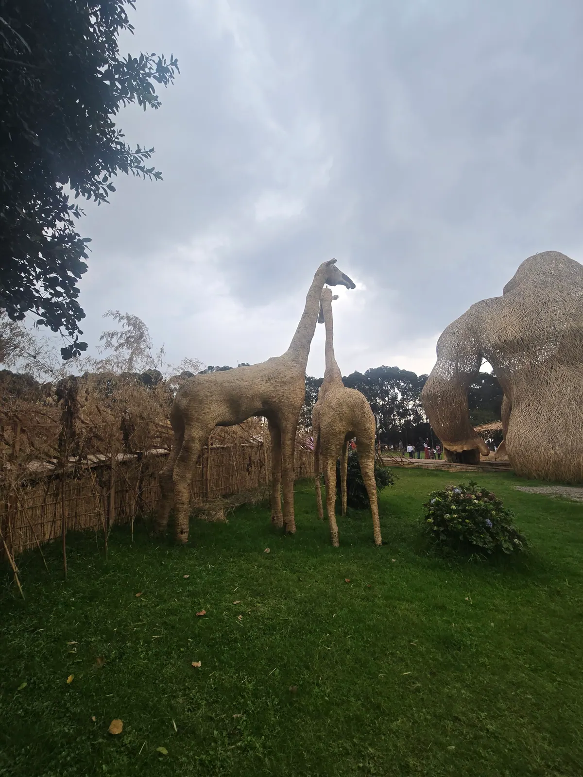 Two woven bamboo giraffes stand on the lawn beside the giant gorilla sculpture
